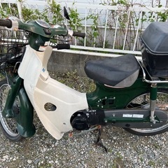 HONDA SUPERCUB