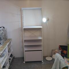 中国東北地方 山参 2014年 箱入り鑑定書付