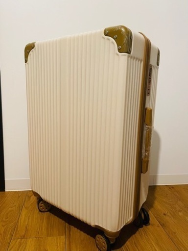 ⭐️オシャレ　軽量⭐️キャリーバッグ　スーツケース　Mサイズ　未使用