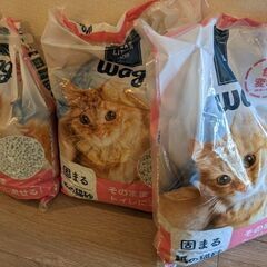 猫砂2.5袋