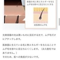 【新品】レイボーテ　ヴィーナスプロ　光美容器　脱毛器