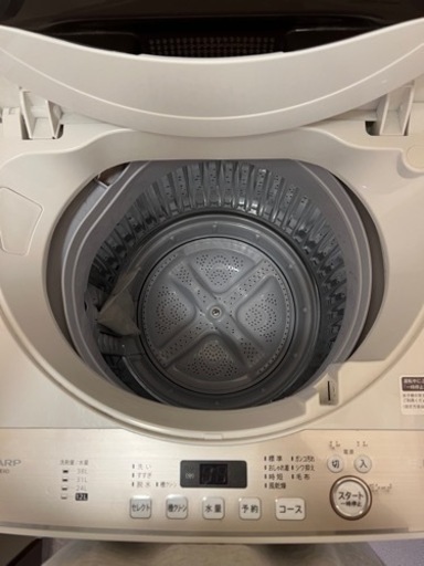 新生活応援！SHARP洗濯機　現地受け取り限定特価！