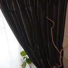 NITORIのカーテン