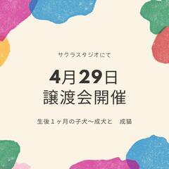 4月29日　保護犬猫譲渡会　開催