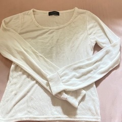 白　Tシャツ