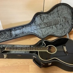 【ネット決済・配送可】美品takamine PT−108 エレア...