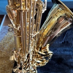 YANAGISAWA 　ヤナギサワ　テナーサックス　T-WO1