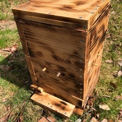 【ネット決済・配送可】ニホンミツバチ養蜂　重箱式巣箱（巣枠使用）