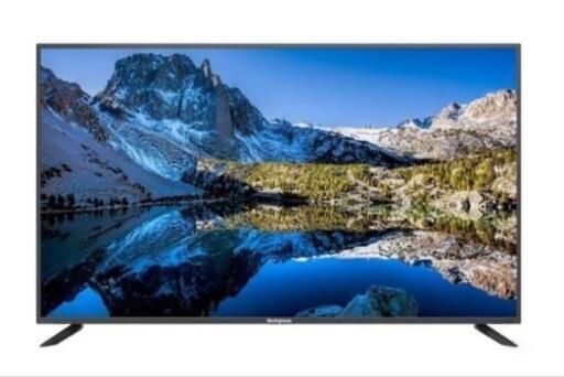 テレビ 50型