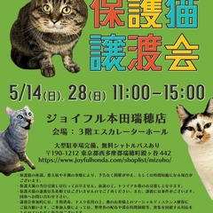 保護猫❤️譲渡会 in ジョイフル本田瑞穂店(５／１４)