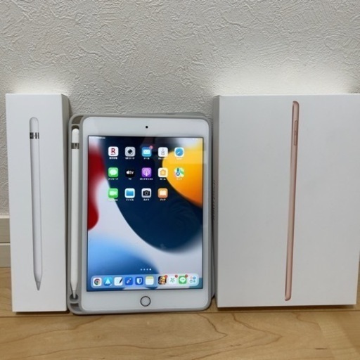 iPad mini5 64GB Wi-Fiモデル 使用時間小 美品 Applepencil付 | procomm.ca