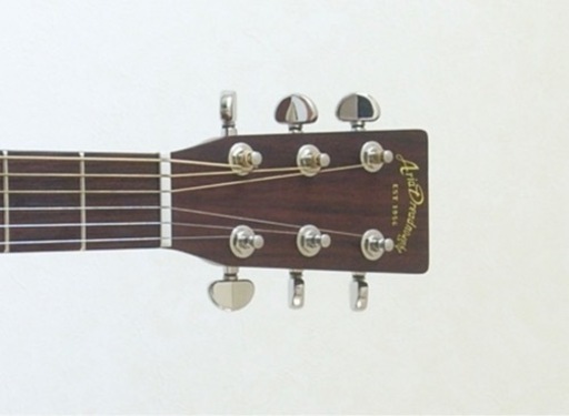 ARIA Dreadnought AF-25 コスパ、弾きやすさ抜群！初心者の方に