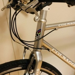 colnago windy