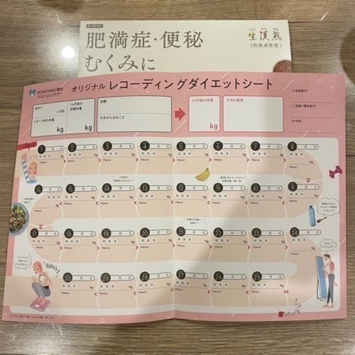レコーディングダイエットシート