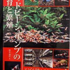 アクアライフの本　レッドビーシュリンプの飼育と繁殖・新番かんたん...