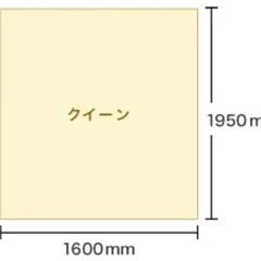 トゥルースリーパープレミアリッチ】クイーンサイズ！※写真はシングル