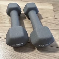 ダンベル2kg × 2個