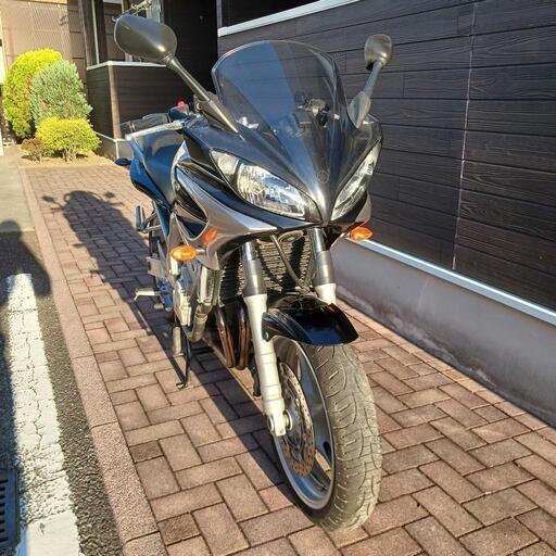 FZS600 Fazer