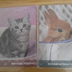 子猫とウサギの小さい封筒(決まりました)