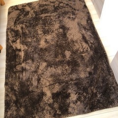 ファータイプ　茶色のカーペット（185㎝×127㎝）