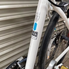 クロスバイク 身長165-175cm トレック TREK 7.4FX