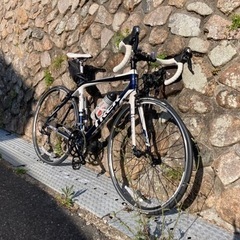 TREK madone3.1