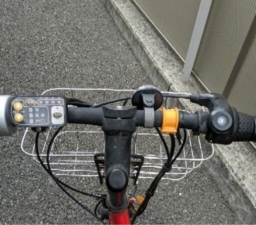 電動自転車 ブリヂストン リアルストリームミニ 【公式通販】