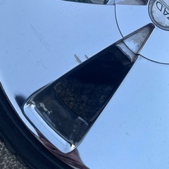 DADギャルソン　ツェンレイ18インチ