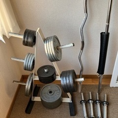 取引者決定　札幌帯広近隣　BODYMAKERトレーニング一式　90kgプレート台付