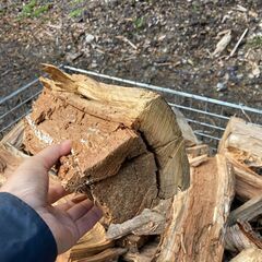 広葉樹原木の切り落とし約300kg。2023シーズンの薪ストーブにどうぞ。
