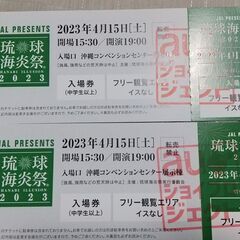 琉球海炎祭2023　花火大会4月15日　宜野湾海浜公園のチケット...