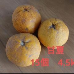 【ネット決済・配送可】甘夏　無農薬　15個　約4.5kg