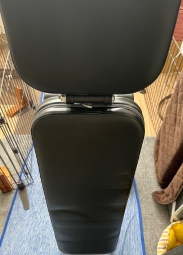 取引中) NUOBELL シルバー NUO-FLEX20 ＆ リーディングエッジ マルチ  