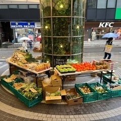 飲食店を経営されている方❗️フルーツ、野菜を販売させてください❗️