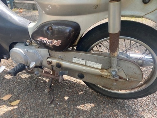 決まりました】古いけどまだまだ走るリトルカブです。