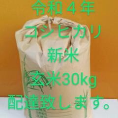 コシヒカリ　こしひかり　令和４年 新米　玄米　30kg　配達致し...