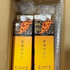 【ネット決済・配送可】豊潤サジー　1000ml 2本セット（賞味...
