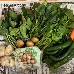 野菜セット(小)1セット、本日中