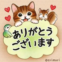 時には一緒にお茶したり出来る友達募集❤️