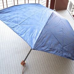 日傘☆折りたたみ傘 AURORA