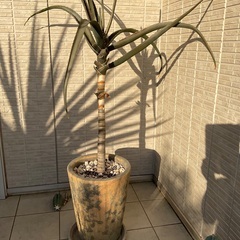 KEYUCA｜ケユカ｜ベンチダイニング4点セット