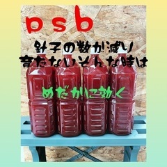 はじまりました。ＰＳＢ（生きたろ過バクテリア）　