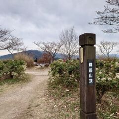 山登りしませんか(4/23二上山編）