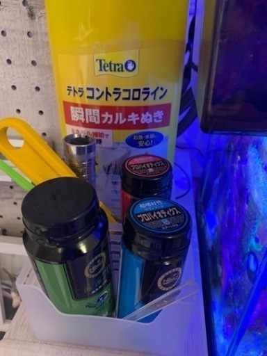 お取引中　海水魚水槽、水槽周り　海水魚　まとめて売ります