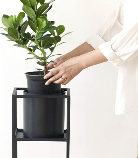minelal　エバーフレッシュ エバーフレッシュ 06202 販売・通販 ［詳細ページ］ *tree tree*