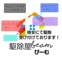 駆除屋BEAMのハト対策　害鳥対策　ハト避けネット　ハト駆除　鳩...