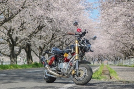 モンキー125cc