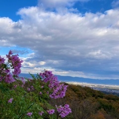 ４月１６日☆のんびり登山☆女性のメンバー欠員の為、女性一名募集　...