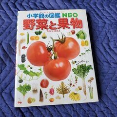 野菜と果物　小学館の図鑑NEO