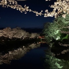 🌸マヤ暦　セッション🌸